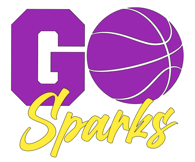 Go Sparks T-Shirt – Bridgelyn Creations