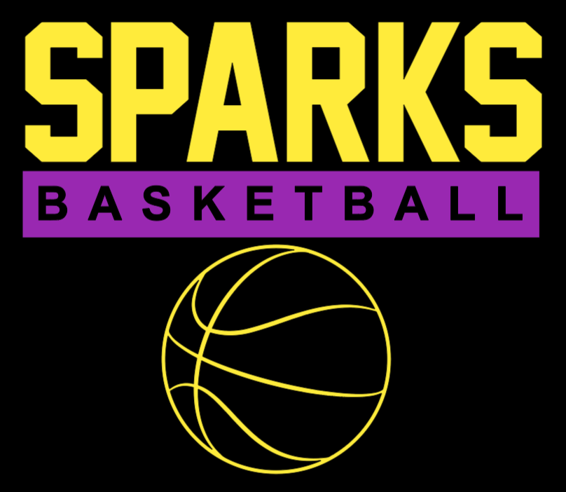 Go Sparks T-Shirt – Bridgelyn Creations