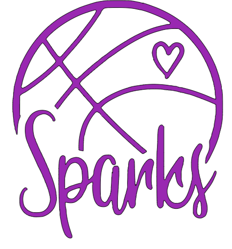 Go Sparks T-Shirt – Bridgelyn Creations