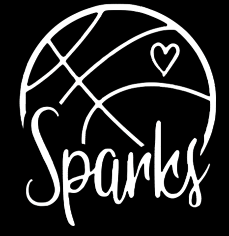 Go Sparks T-Shirt – Bridgelyn Creations